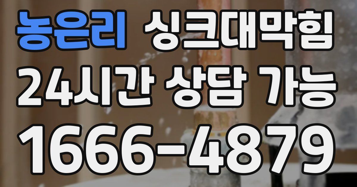 농은리 싱크대 뚫기