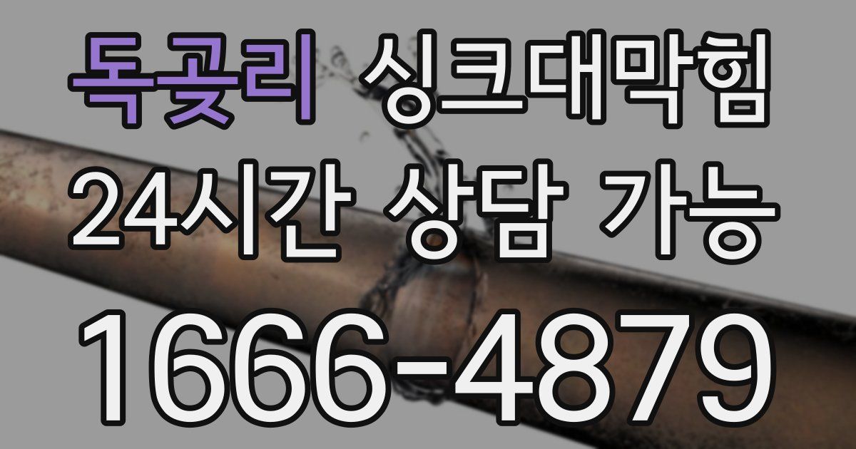 독곶리 싱크대 뚫기