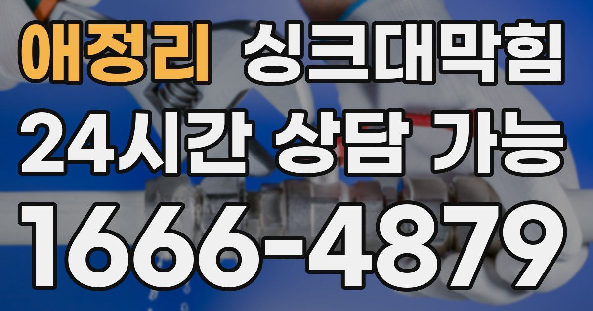 애정리 싱크대 뚫기