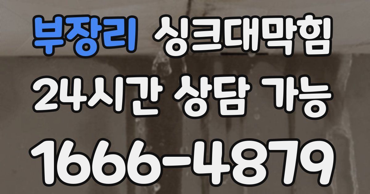부장리 싱크대 뚫기