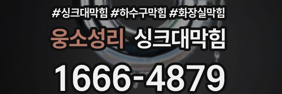 싱크대막힘