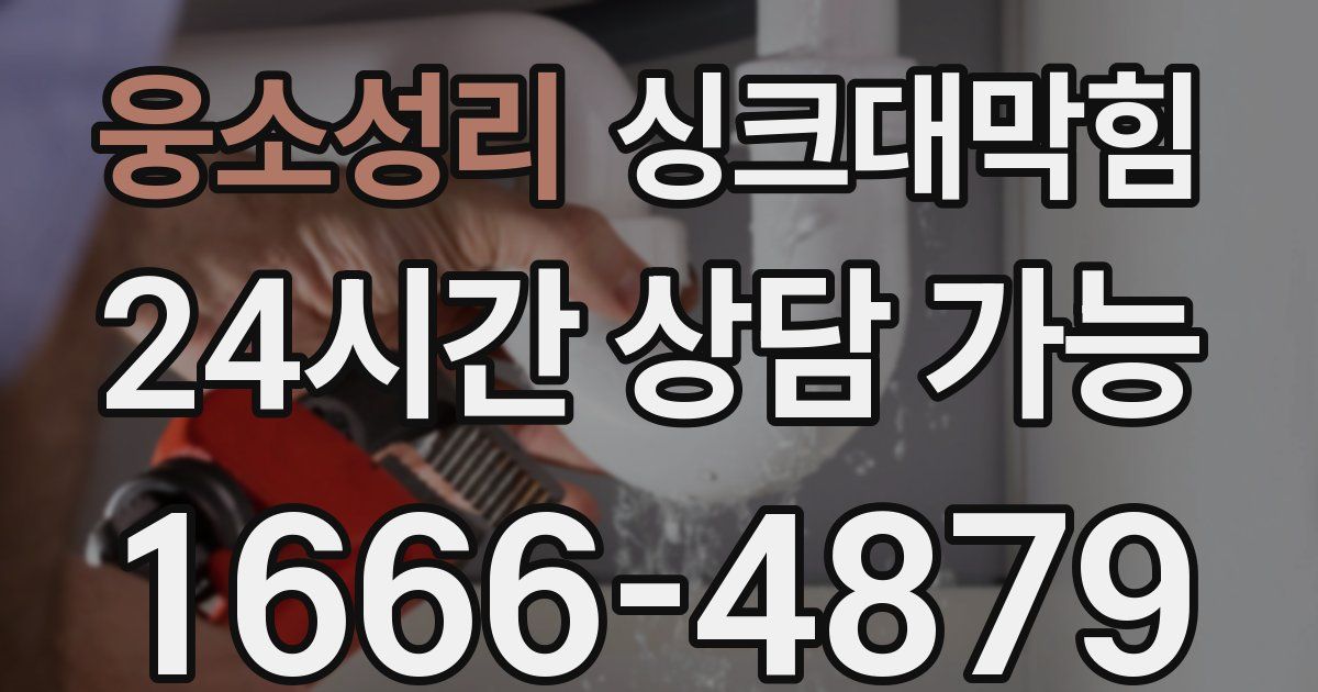 웅소성리 싱크대 뚫기