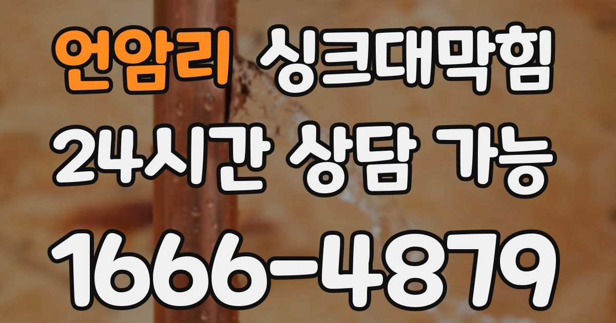 언암리 싱크대 뚫기