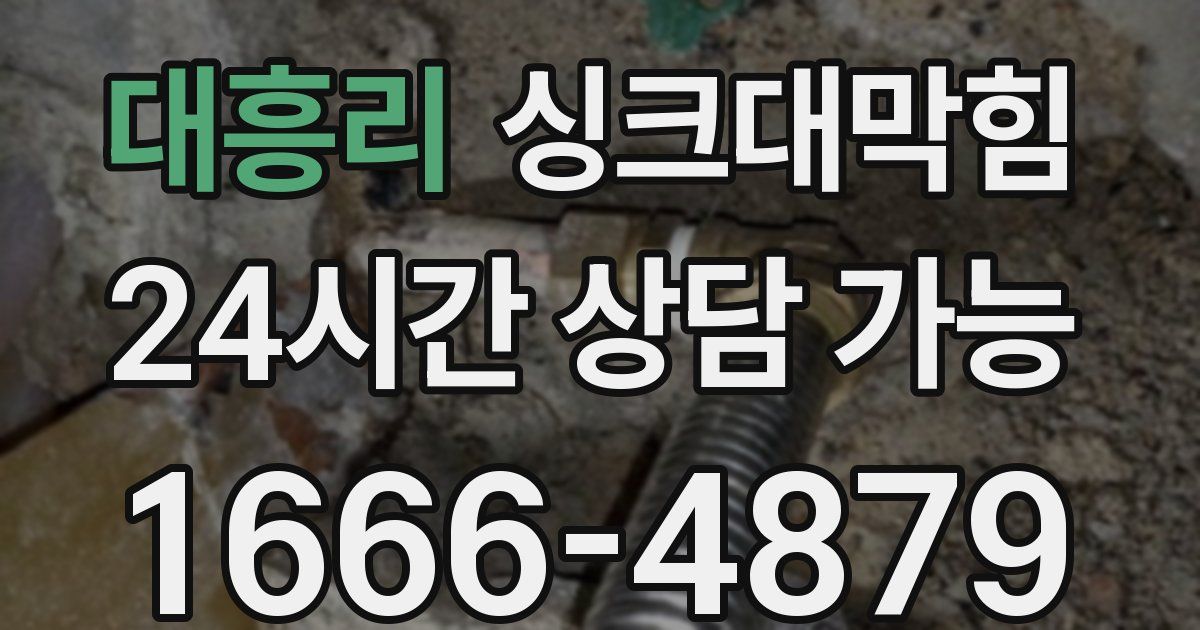 대흥리 싱크대 뚫기