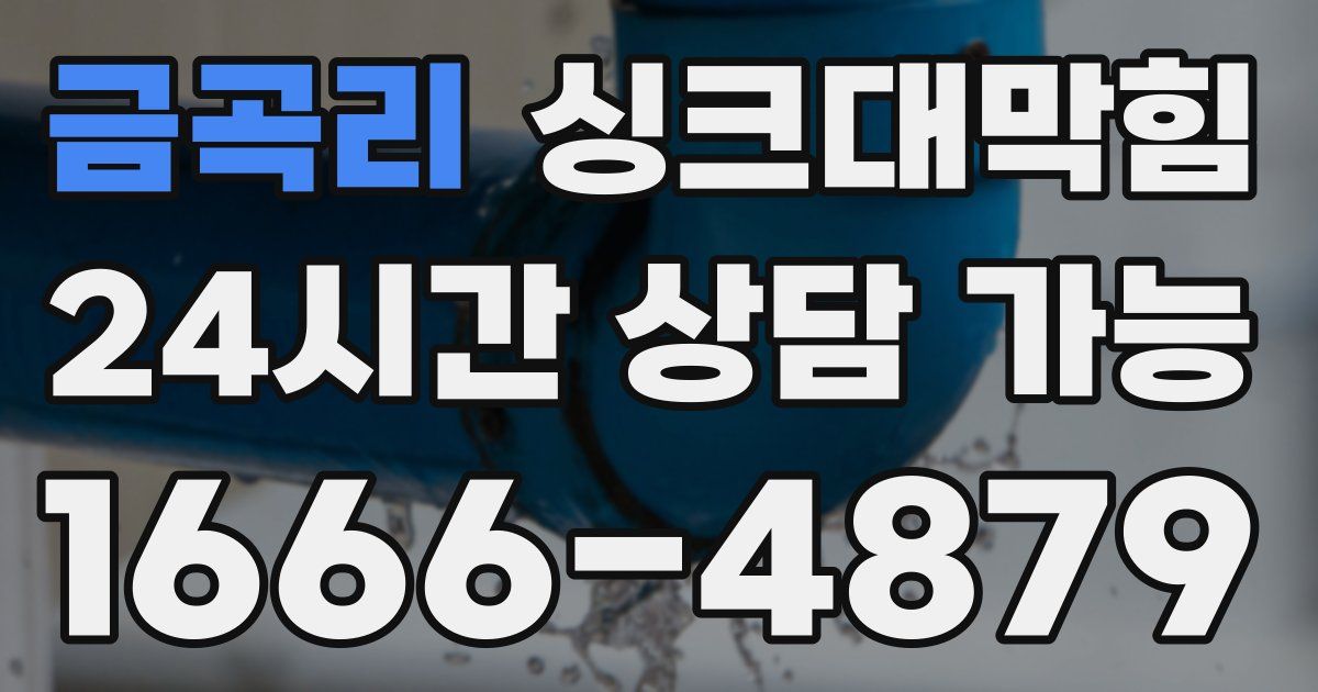 금곡리 싱크대 뚫기
