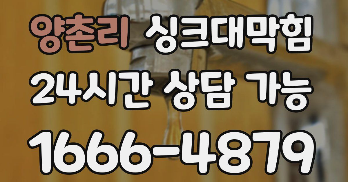 양촌리 싱크대 뚫기