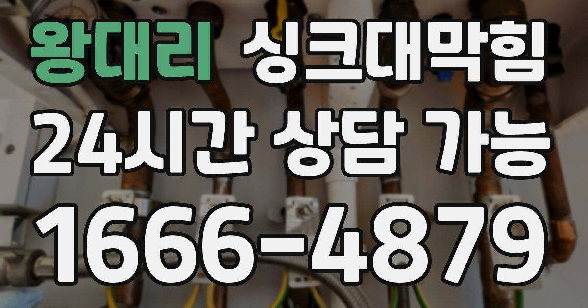 왕대리 싱크대 뚫기