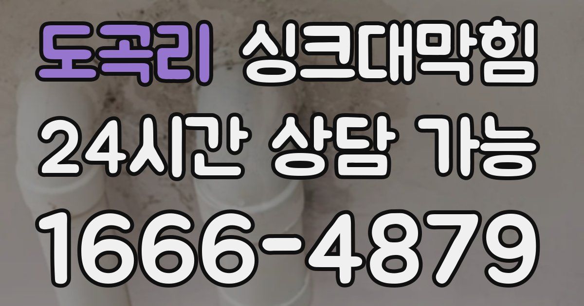 도곡리 싱크대 뚫기