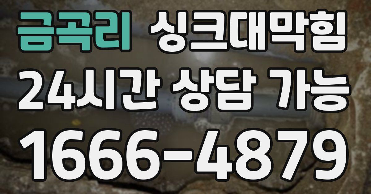 금곡리 싱크대 뚫기