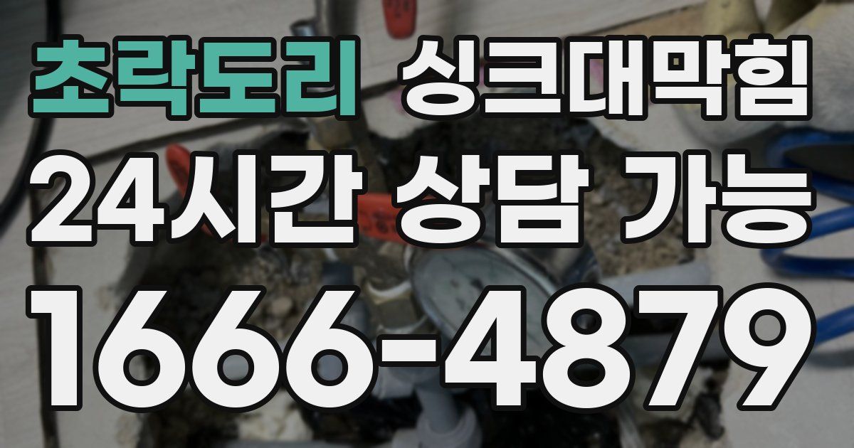 초락도리 싱크대 뚫기