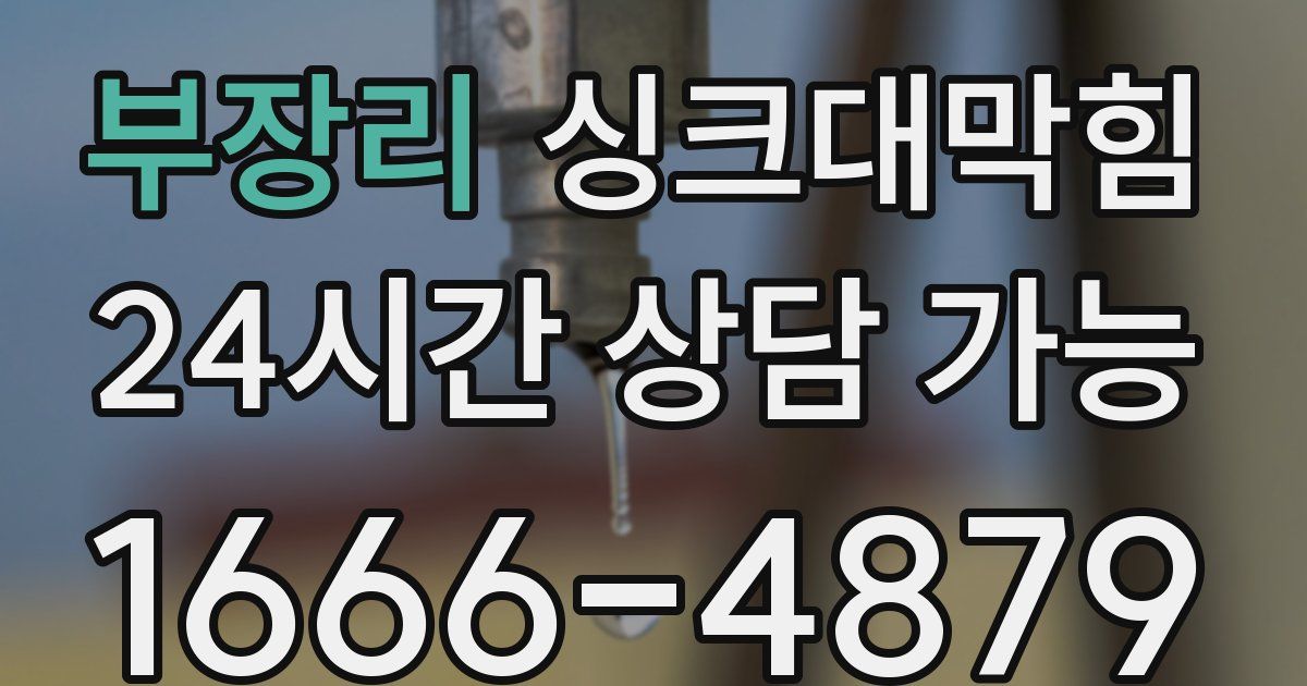 부장리 싱크대 뚫기