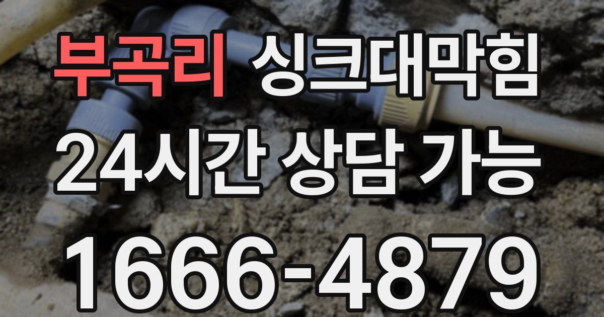 부곡리 싱크대 뚫기