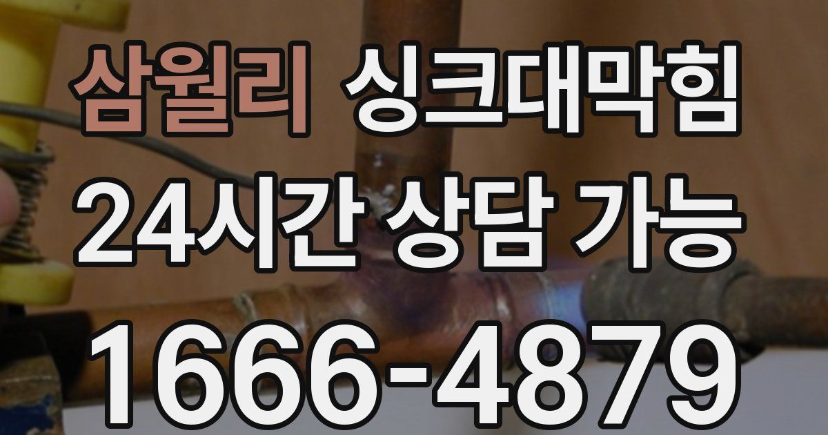 삼월리 싱크대 뚫기