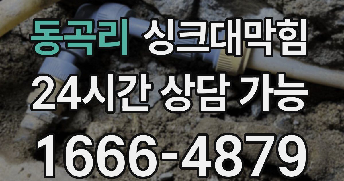 동곡리 싱크대 뚫기