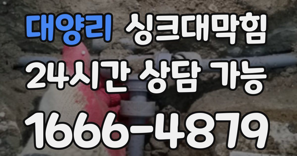 대양리 싱크대 뚫기