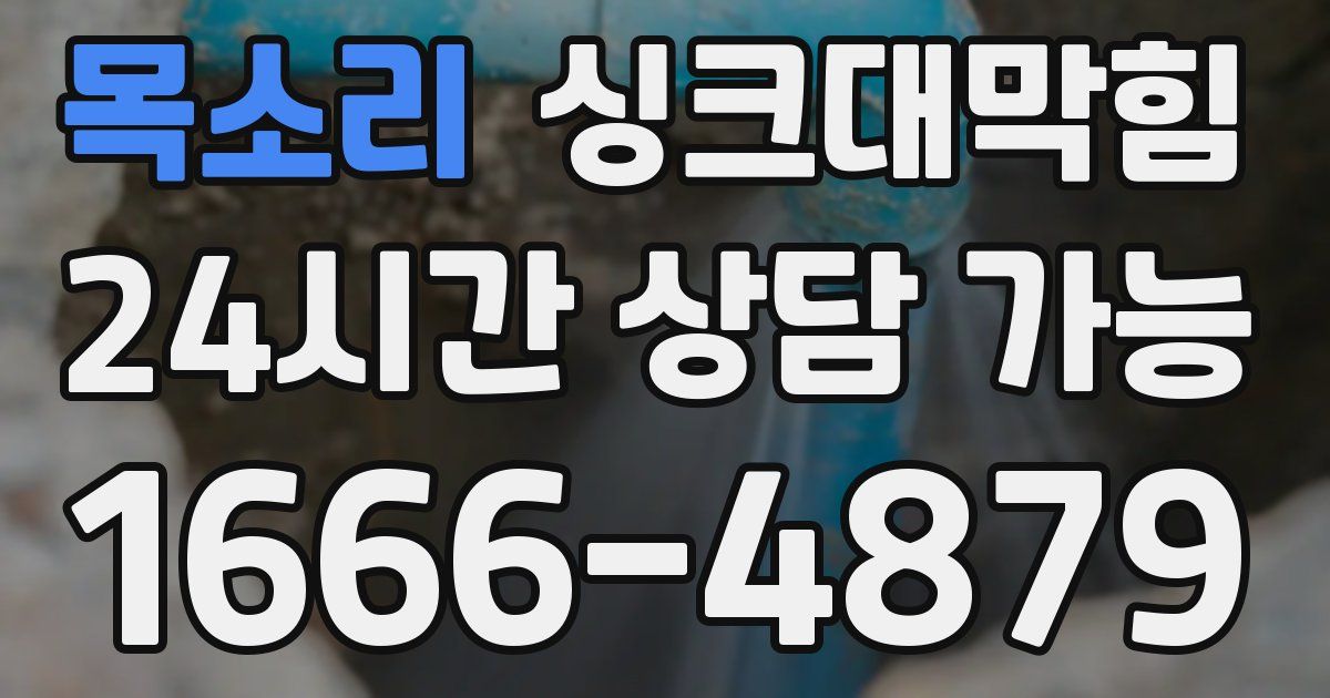 목소리 싱크대 뚫기