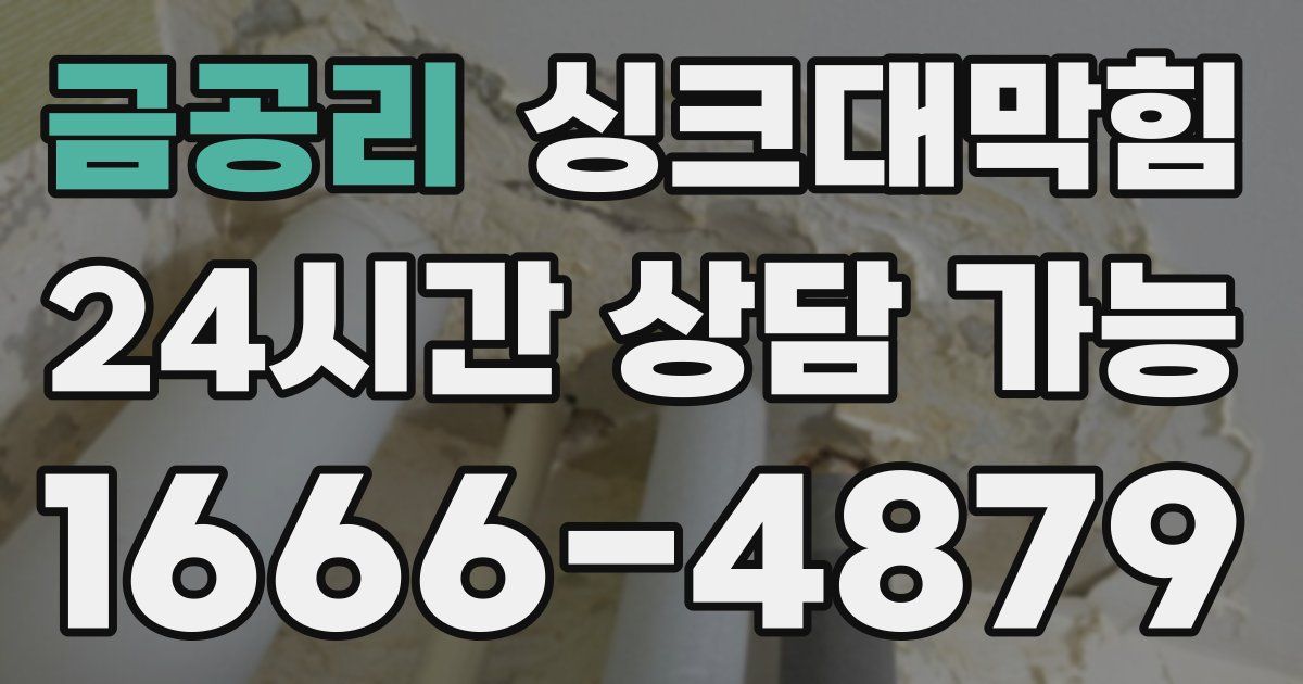 금공리 싱크대 뚫기