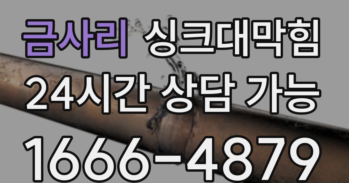 금사리 싱크대 뚫기