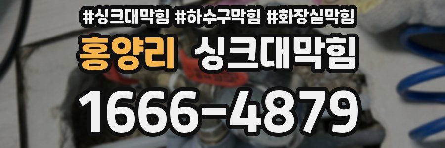 싱크대막힘