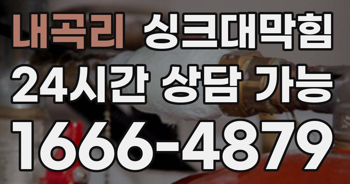 내곡리 싱크대 뚫기