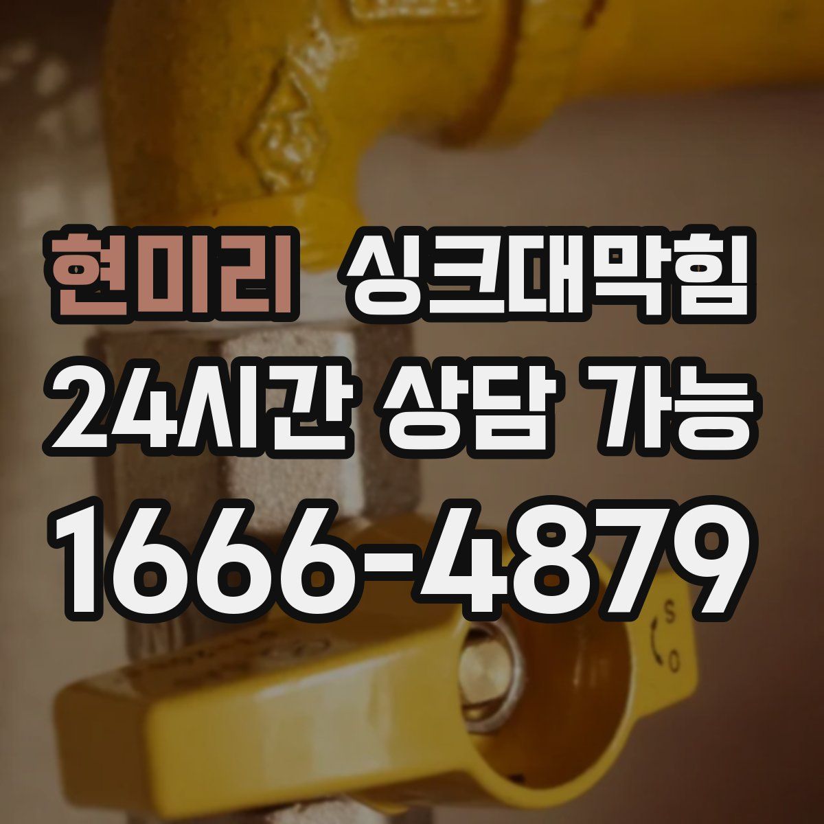 현미리 싱크대막힘