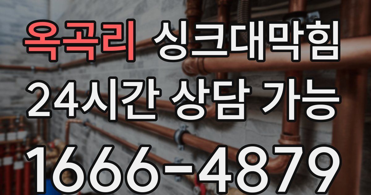 옥곡리 싱크대 뚫기