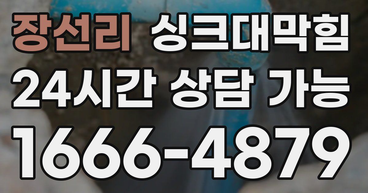 장선리 싱크대 뚫기