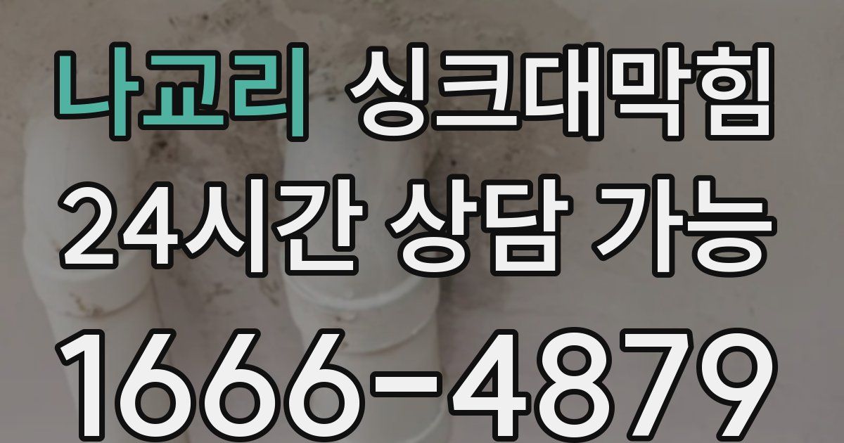 나교리 싱크대 뚫기
