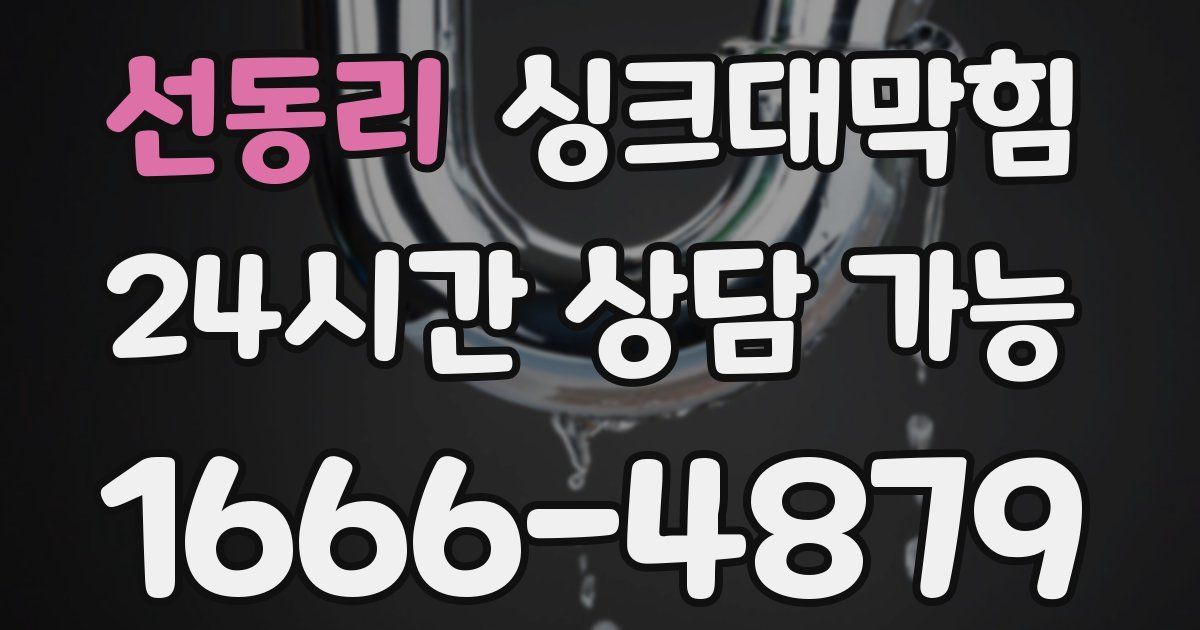 선동리 싱크대 뚫기