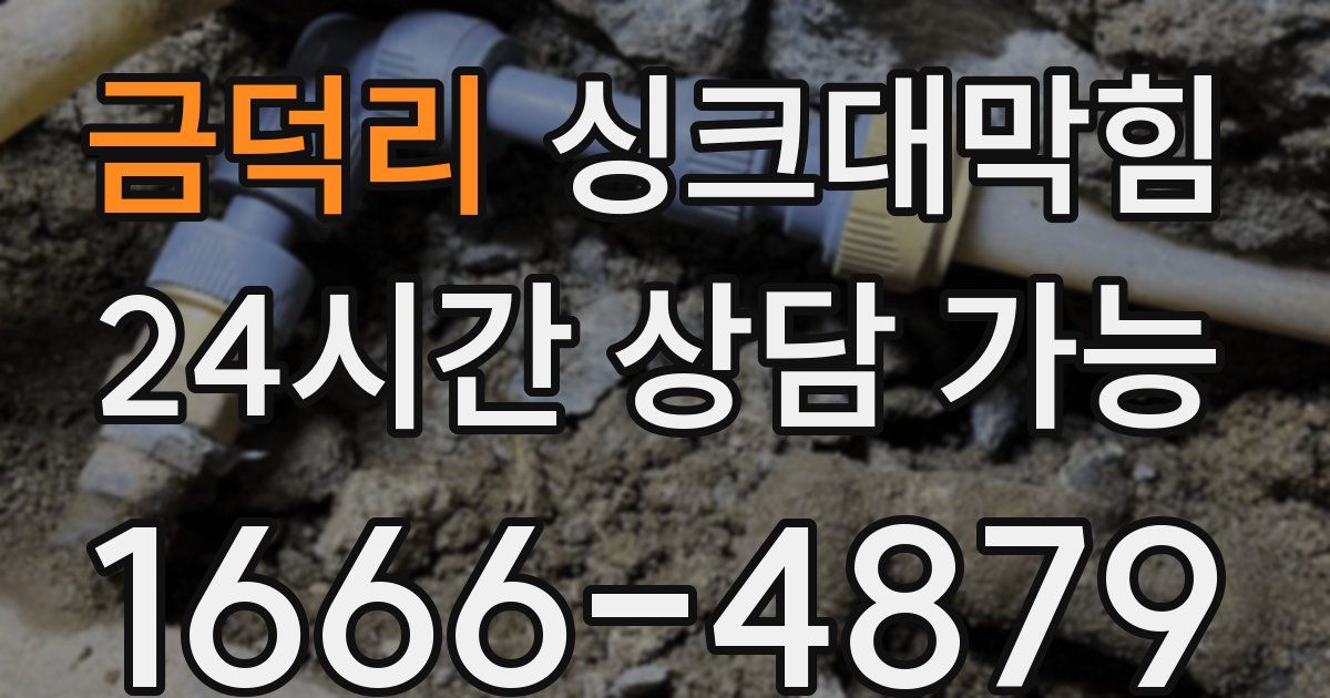 금덕리 싱크대 뚫기