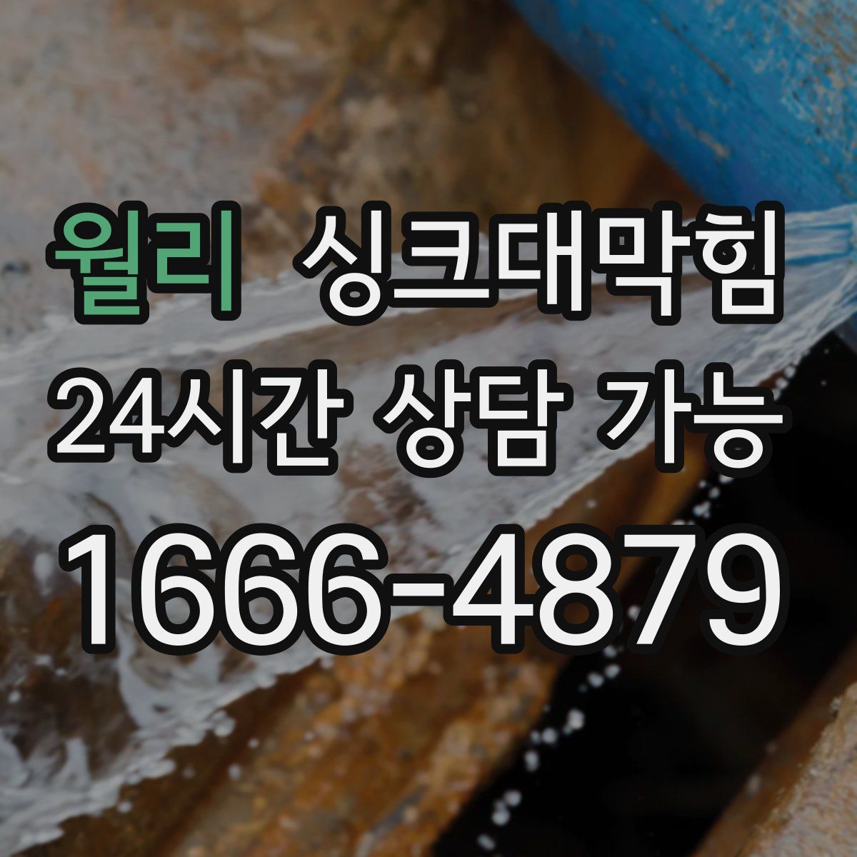 월리 싱크대막힘