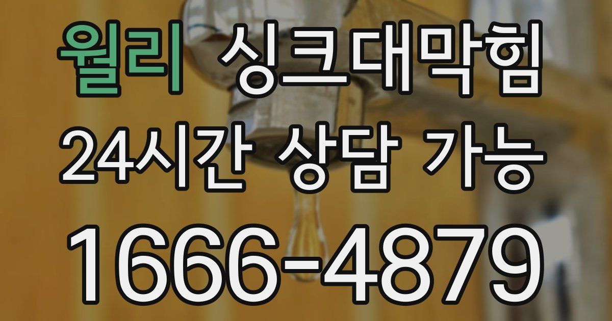 월리 싱크대 뚫기