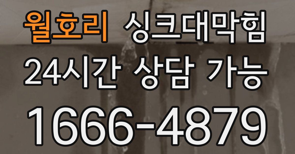 월호리 싱크대 뚫기