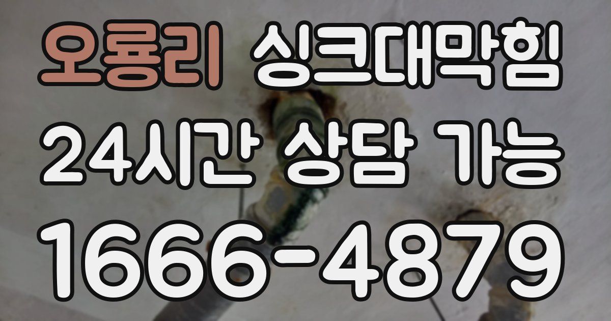 오룡리 싱크대 뚫기