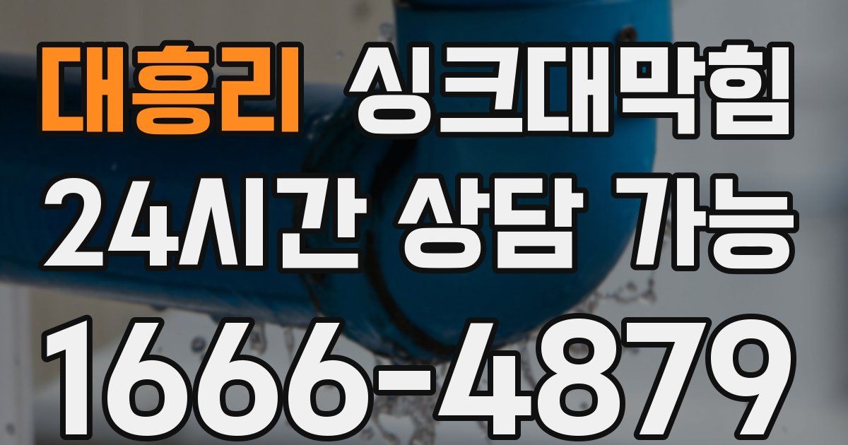 대흥리 싱크대 뚫기