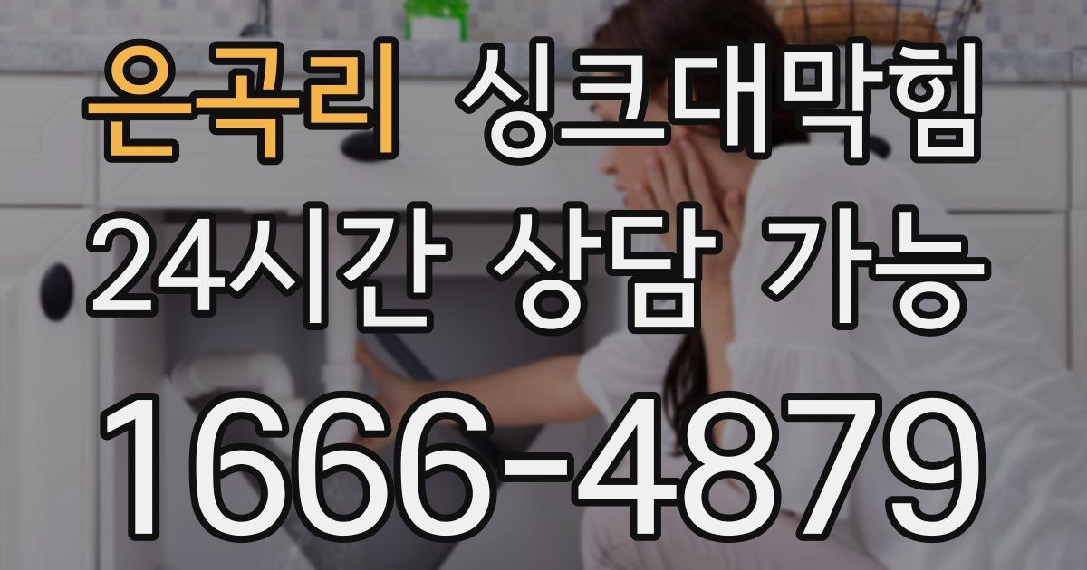 은곡리 싱크대 뚫기