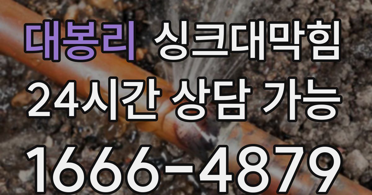 대봉리 싱크대 뚫기