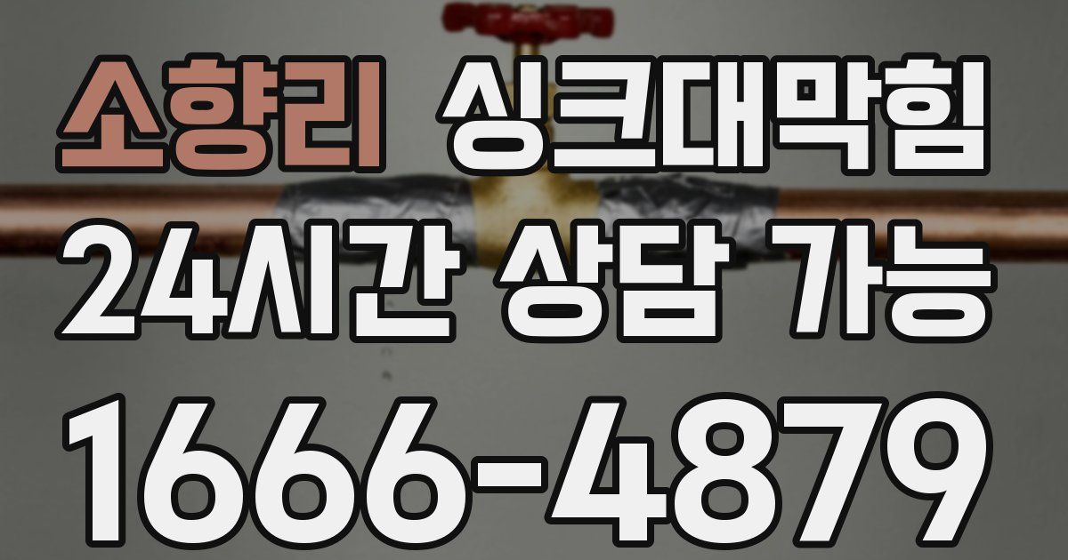 소향리 싱크대 뚫기