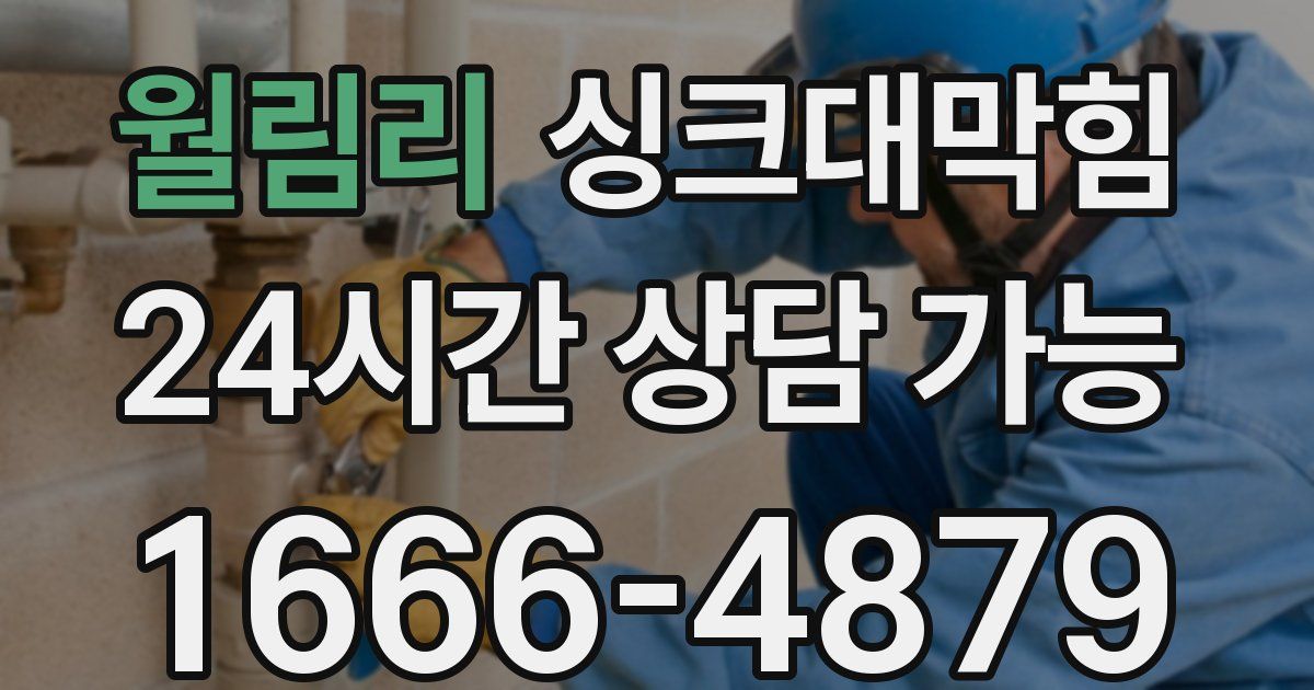 월림리 싱크대 뚫기