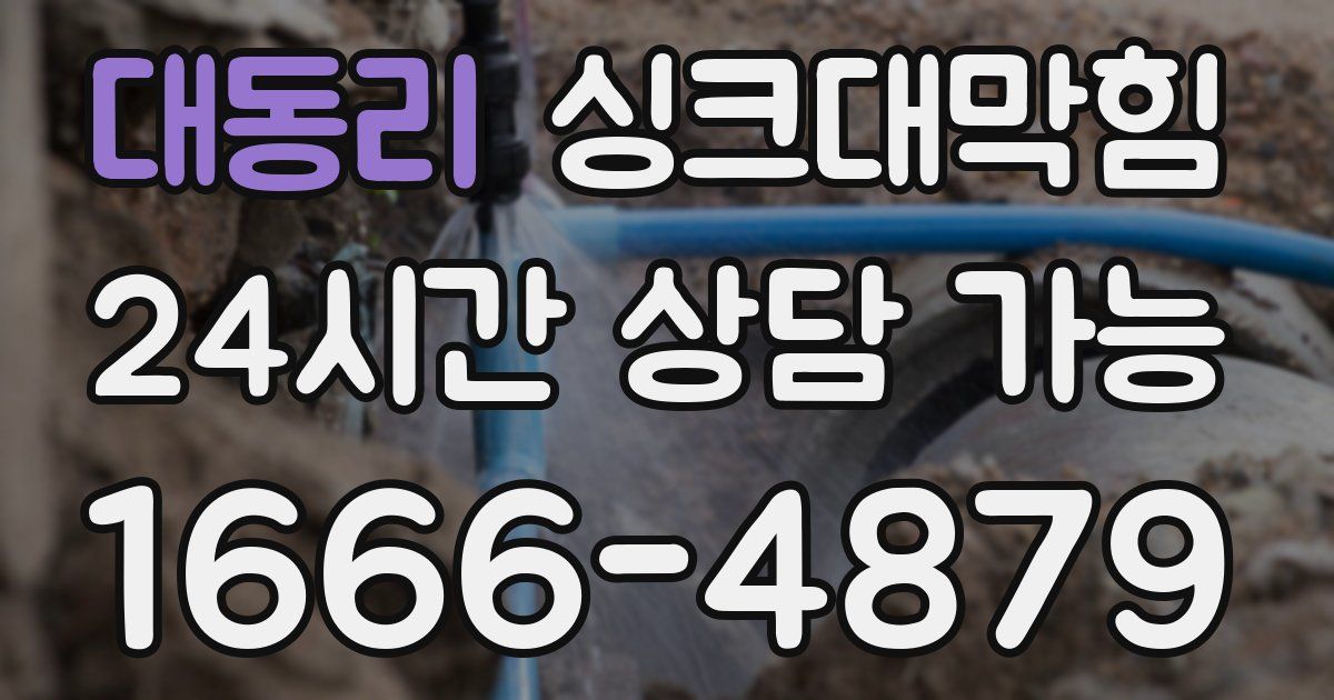 대동리 싱크대 뚫기