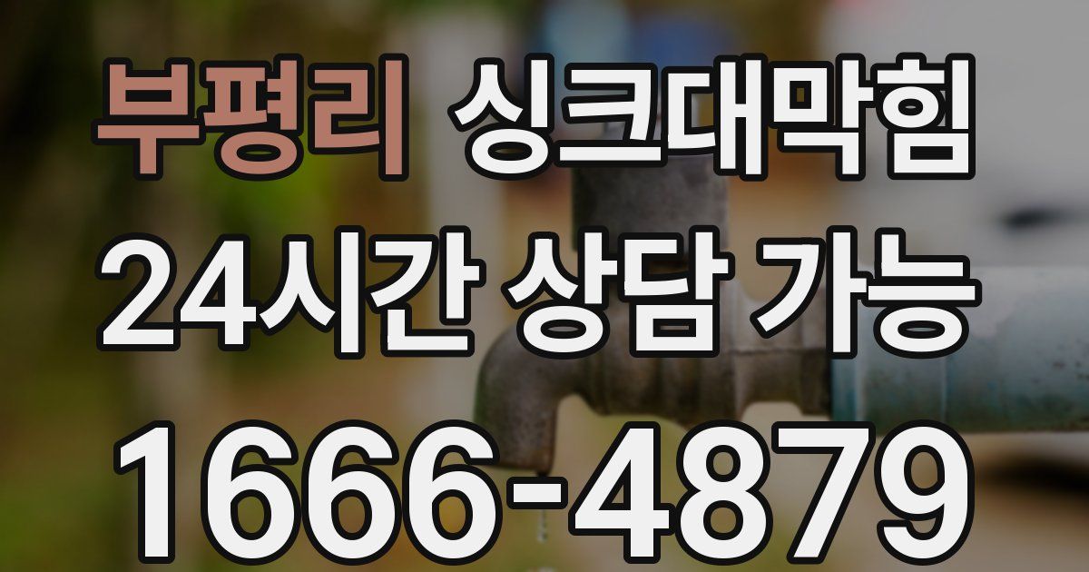 부평리 싱크대 뚫기