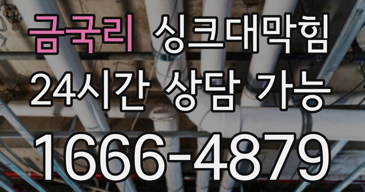 금국리 싱크대 뚫기