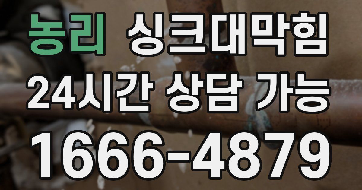 농리 싱크대 뚫기