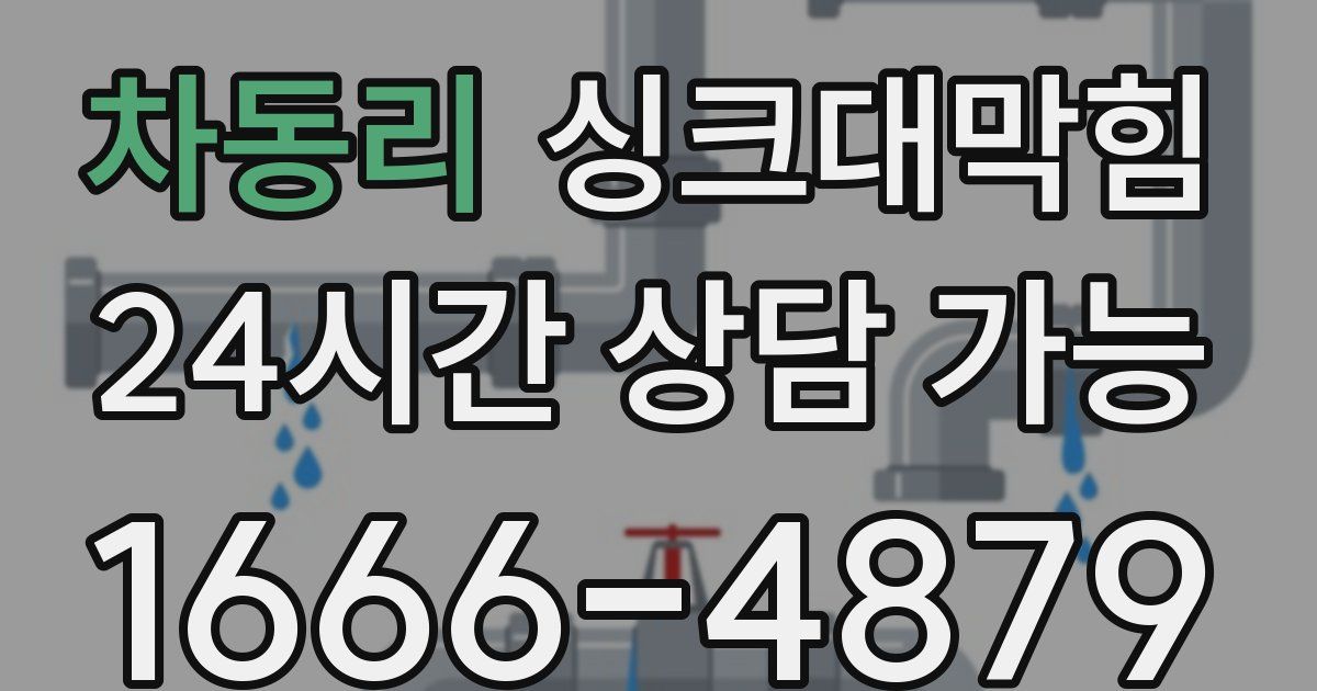 차동리 싱크대 뚫기