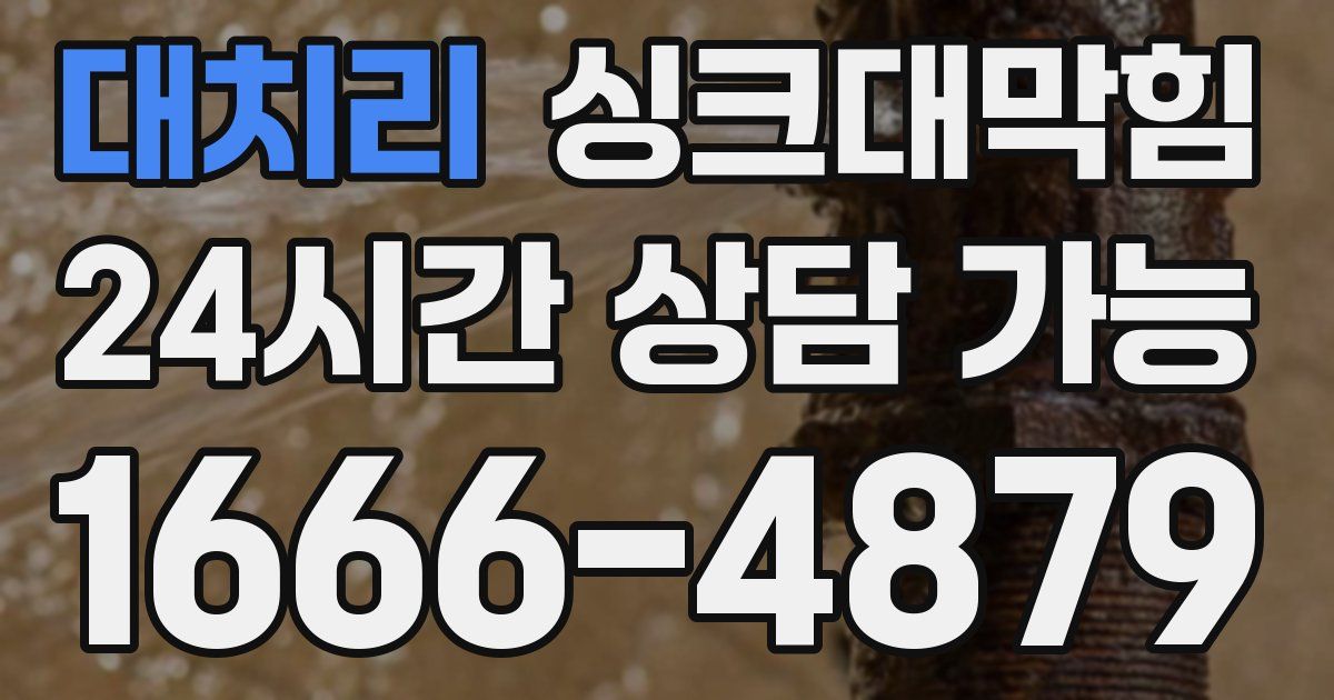 대치리 싱크대 뚫기