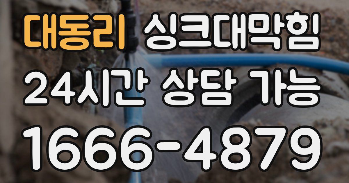 대동리 싱크대 뚫기