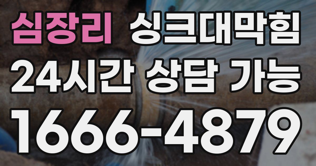 심장리 싱크대 뚫기