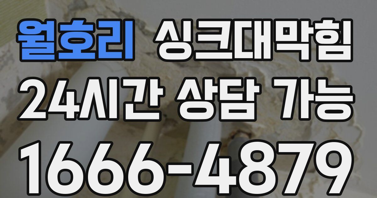 월호리 싱크대 뚫기