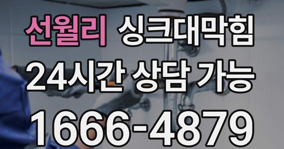 선월리 싱크대 뚫기