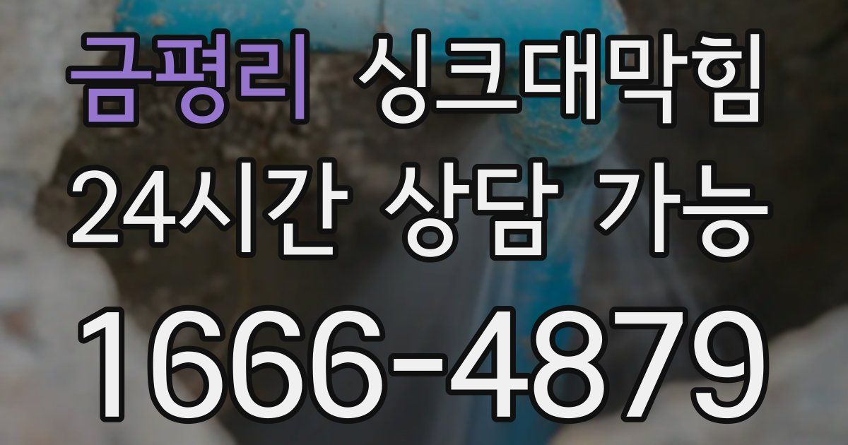 금평리 싱크대 뚫기